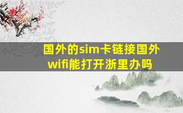 国外的sim卡链接国外wifi能打开浙里办吗