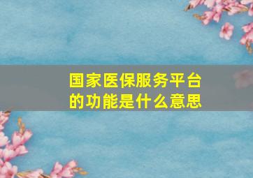 国家医保服务平台的功能是什么意思