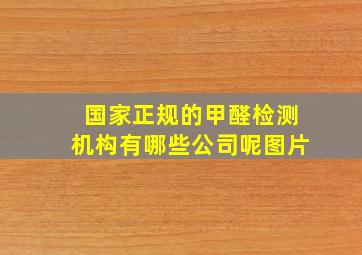 国家正规的甲醛检测机构有哪些公司呢图片