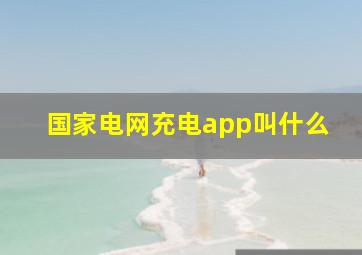 国家电网充电app叫什么