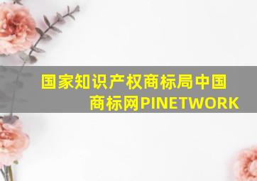 国家知识产权商标局中国商标网PINETWORK