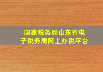 国家税务局山东省电子税务局网上办税平台