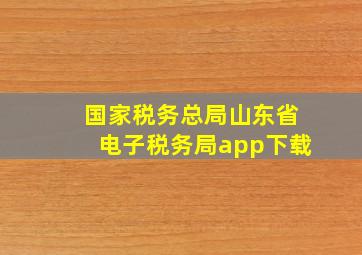 国家税务总局山东省电子税务局app下载