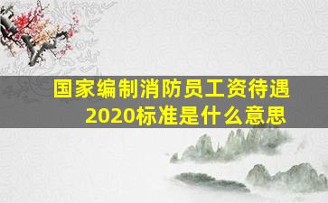 国家编制消防员工资待遇2020标准是什么意思