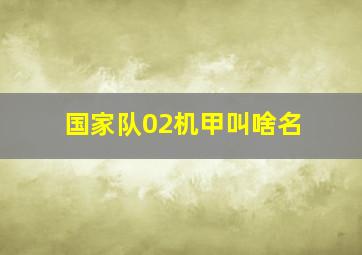 国家队02机甲叫啥名