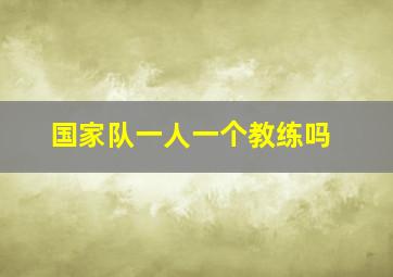 国家队一人一个教练吗