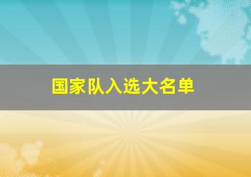 国家队入选大名单