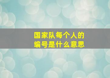 国家队每个人的编号是什么意思