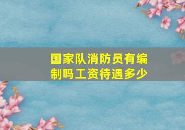 国家队消防员有编制吗工资待遇多少