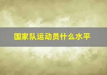 国家队运动员什么水平