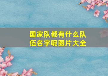 国家队都有什么队伍名字呢图片大全