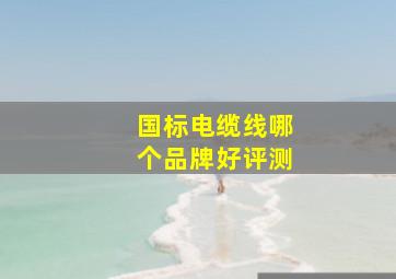 国标电缆线哪个品牌好评测