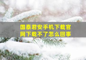 国泰君安手机下载官网下载不了怎么回事