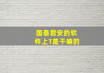 国泰君安的软件上T是干嘛的