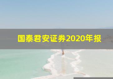 国泰君安证券2020年报