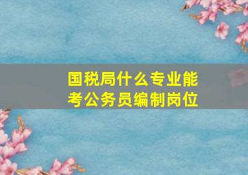 国税局什么专业能考公务员编制岗位