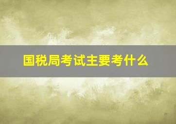 国税局考试主要考什么