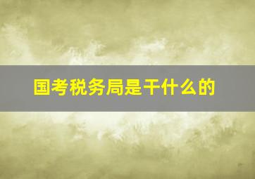 国考税务局是干什么的