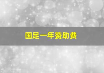 国足一年赞助费