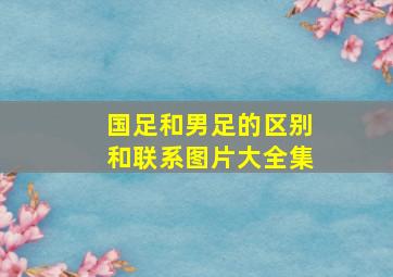 国足和男足的区别和联系图片大全集