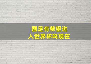 国足有希望进入世界杯吗现在