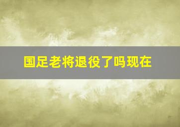 国足老将退役了吗现在