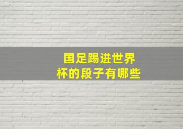 国足踢进世界杯的段子有哪些