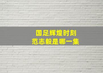 国足辉煌时刻范志毅是哪一集