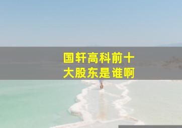 国轩高科前十大股东是谁啊