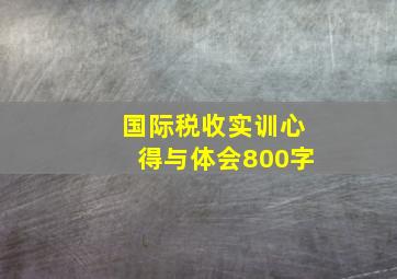 国际税收实训心得与体会800字