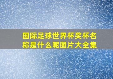 国际足球世界杯奖杯名称是什么呢图片大全集