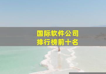 国际软件公司排行榜前十名