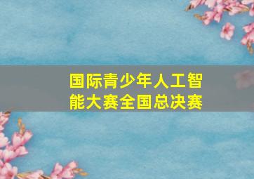 国际青少年人工智能大赛全国总决赛