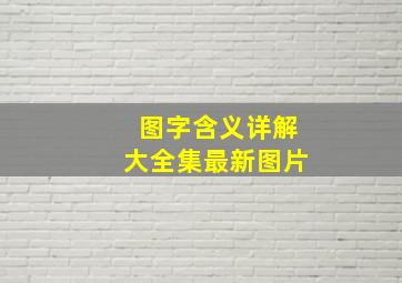 图字含义详解大全集最新图片