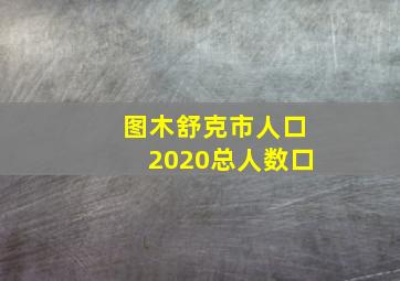 图木舒克市人口2020总人数口