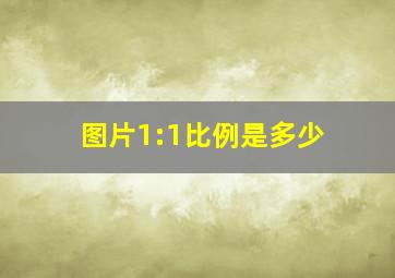 图片1:1比例是多少