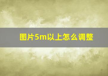 图片5m以上怎么调整