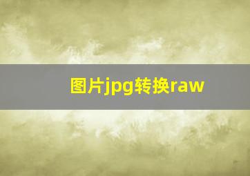 图片jpg转换raw