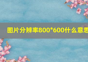 图片分辨率800*600什么意思