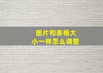 图片和表格大小一样怎么调整