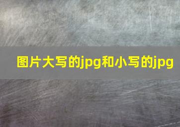 图片大写的jpg和小写的jpg