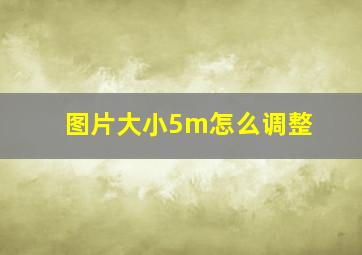 图片大小5m怎么调整