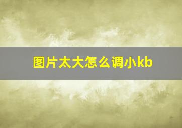 图片太大怎么调小kb