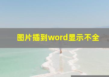 图片插到word显示不全