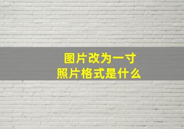 图片改为一寸照片格式是什么