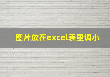 图片放在excel表里调小