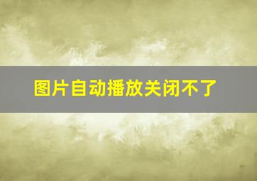 图片自动播放关闭不了