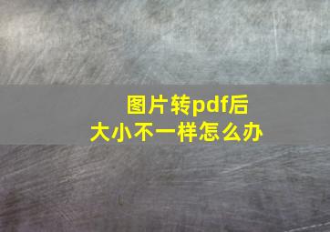 图片转pdf后大小不一样怎么办