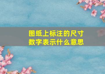 图纸上标注的尺寸数字表示什么意思