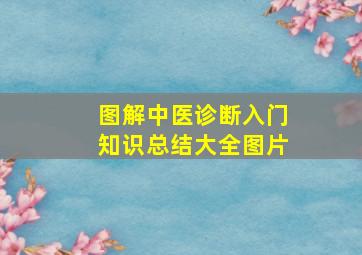 图解中医诊断入门知识总结大全图片